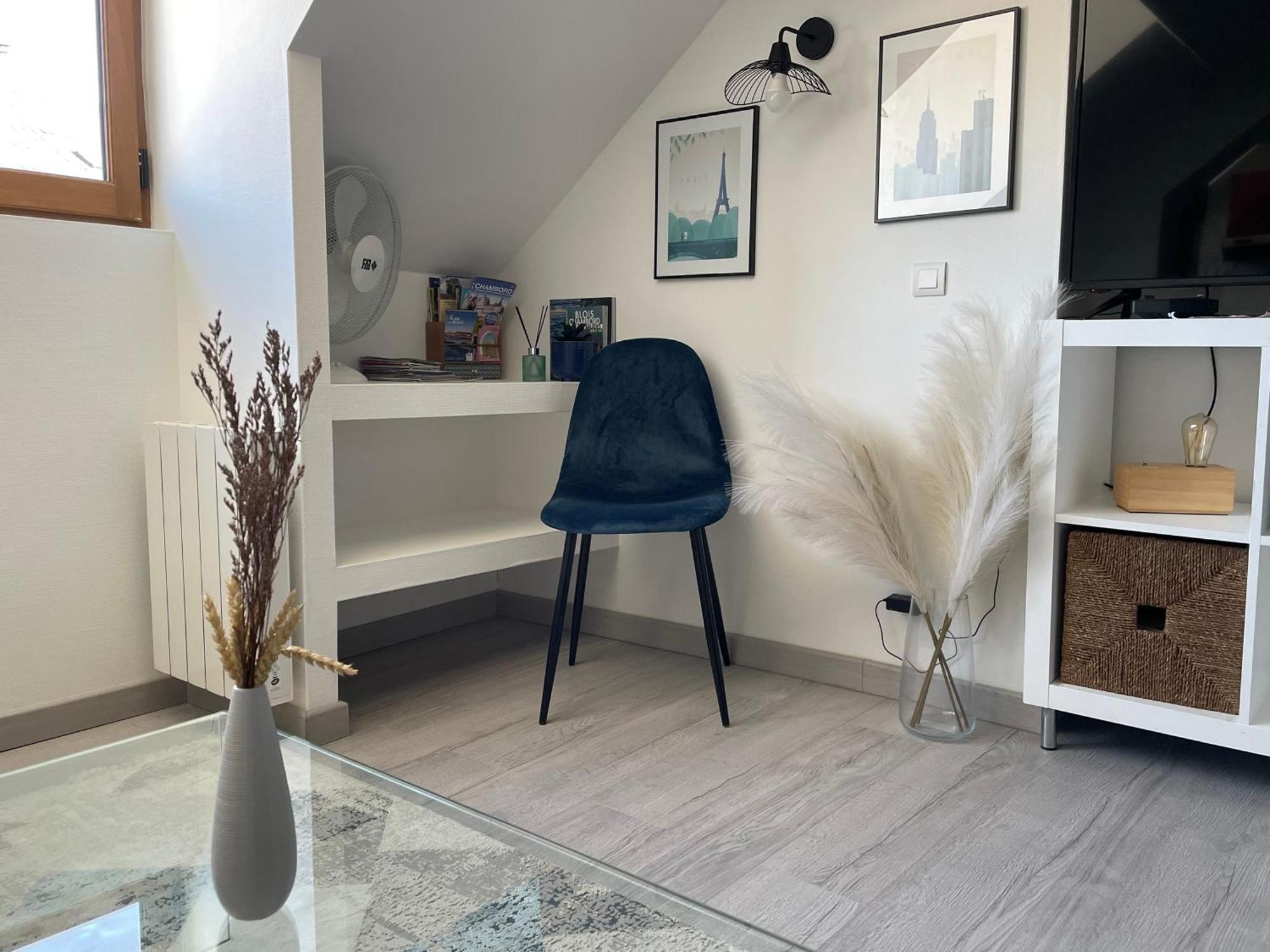 Magnifique Logement Au Pied Du Chateau Blois Bagian luar foto