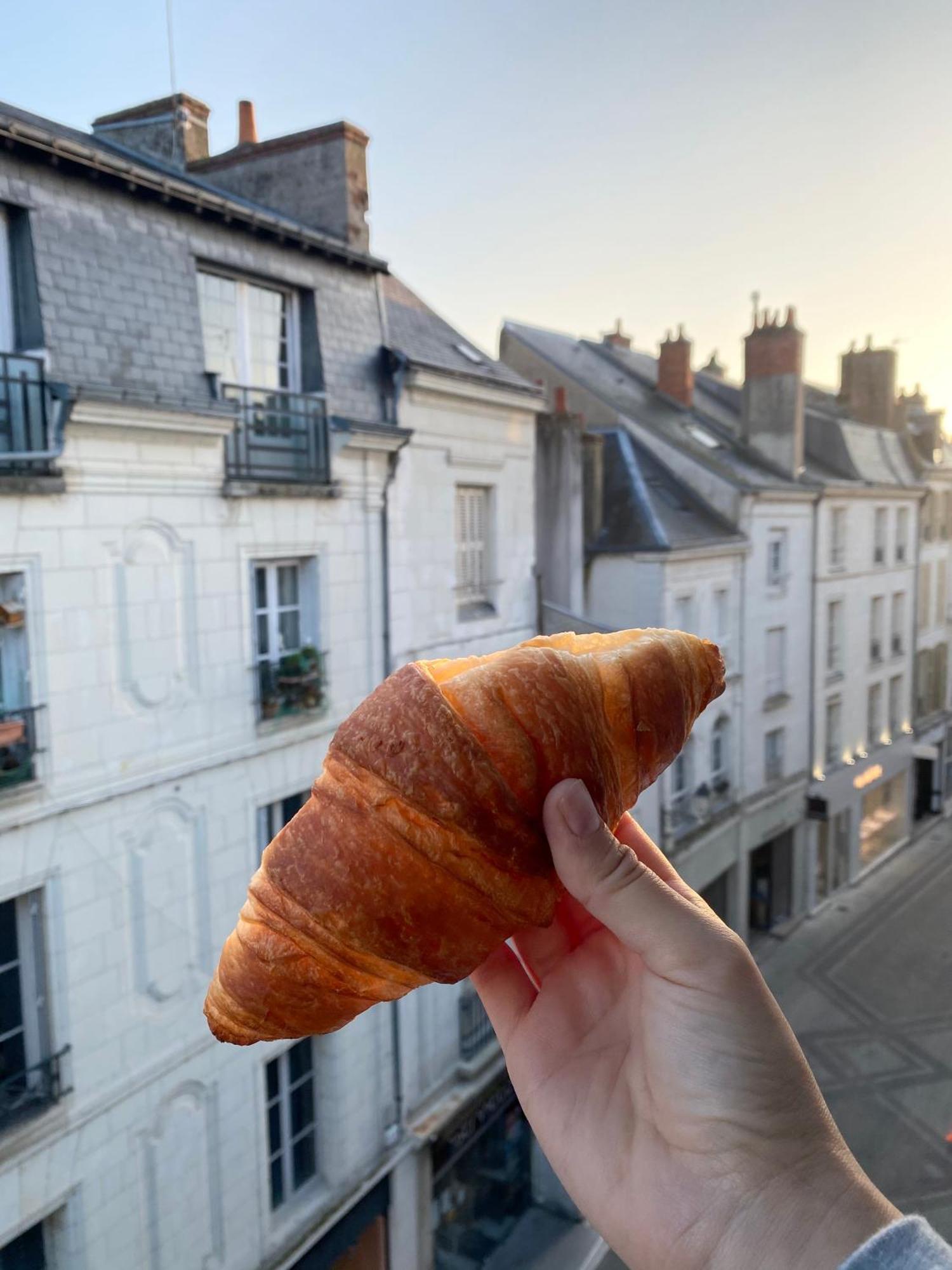Magnifique Logement Au Pied Du Chateau Blois Bagian luar foto