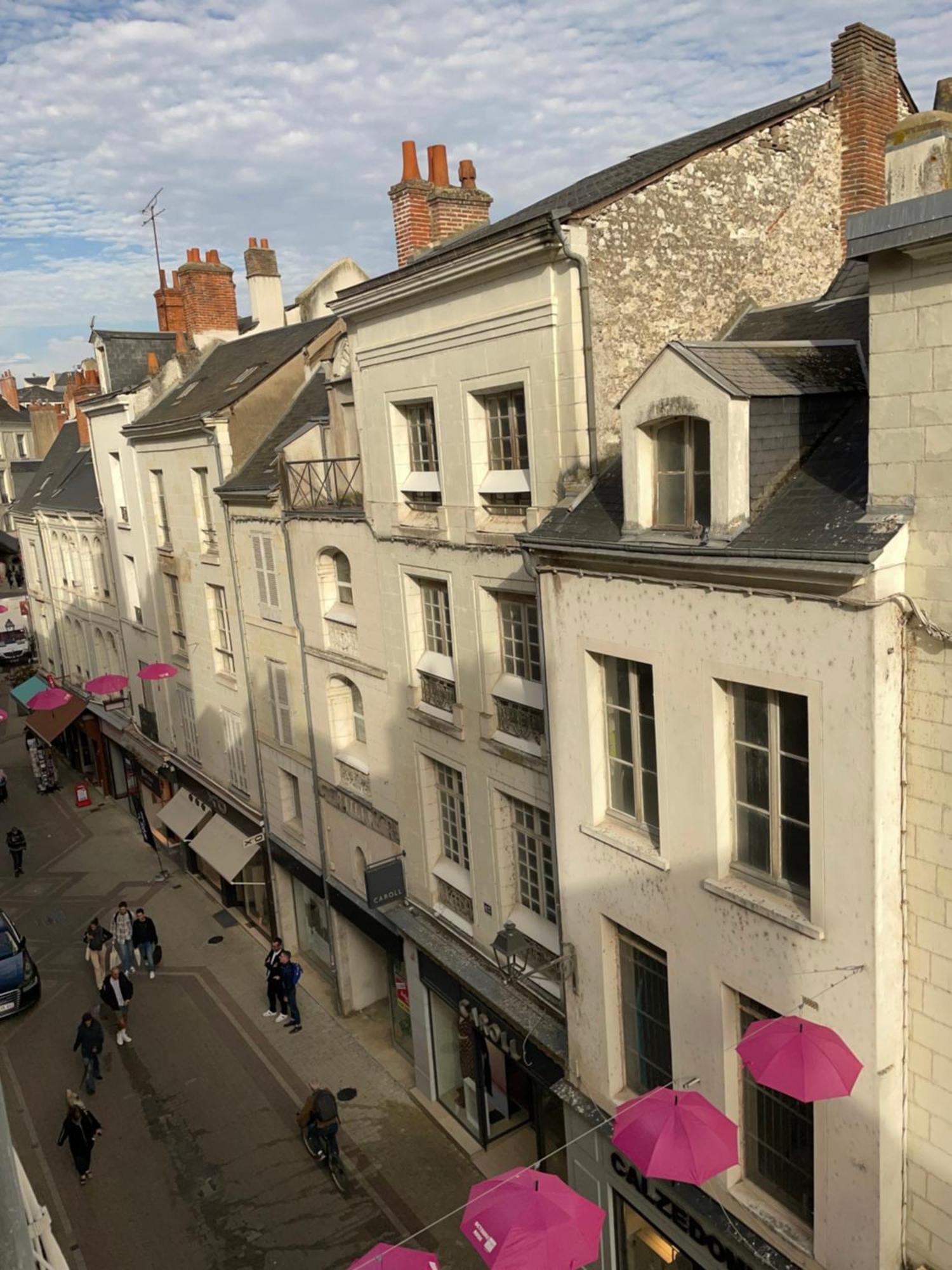 Magnifique Logement Au Pied Du Chateau Blois Bagian luar foto