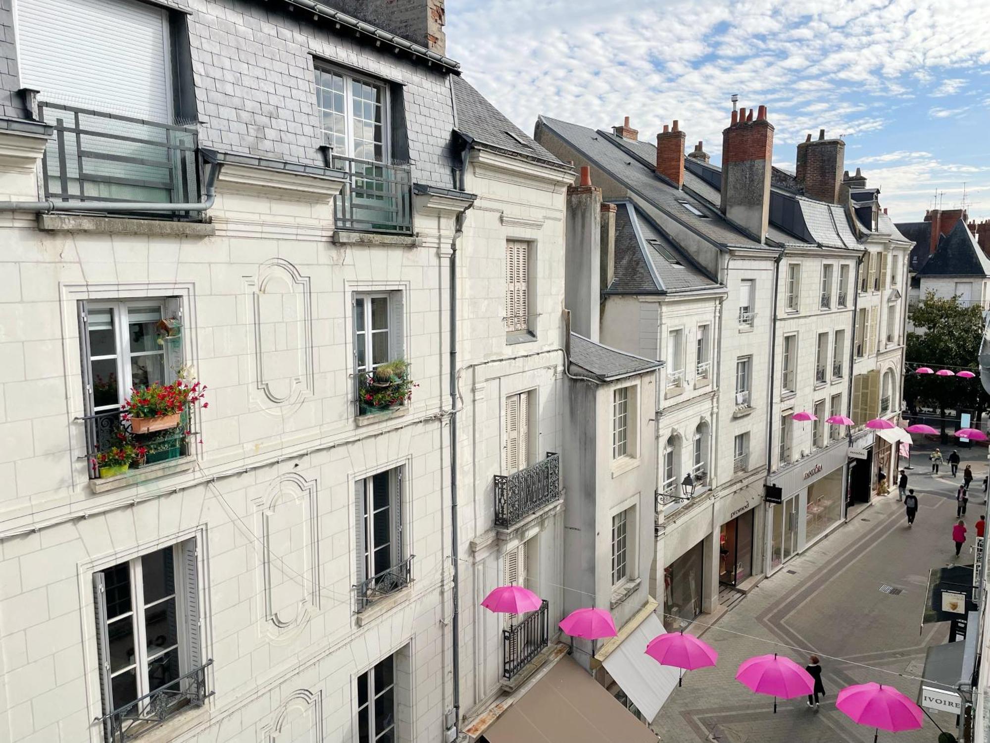 Magnifique Logement Au Pied Du Chateau Blois Bagian luar foto